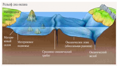 Соотнеси элементы рельефа дна океана с точками на изображении