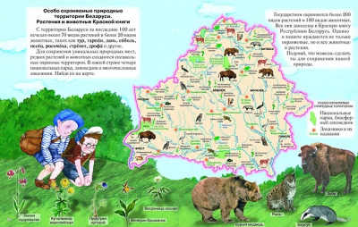 Реферат: Охрана животных и растительного мира