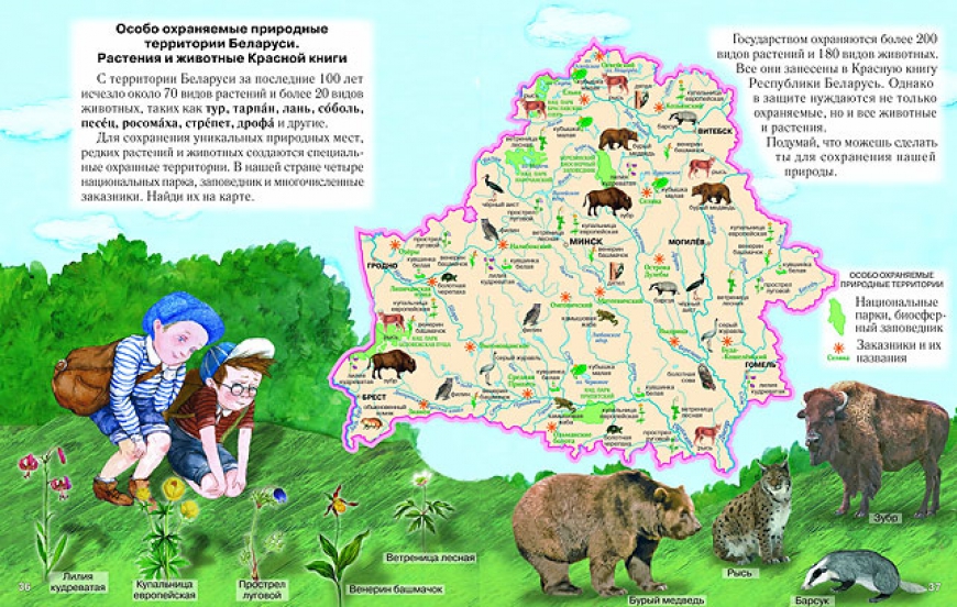 Животный мир Беларуси