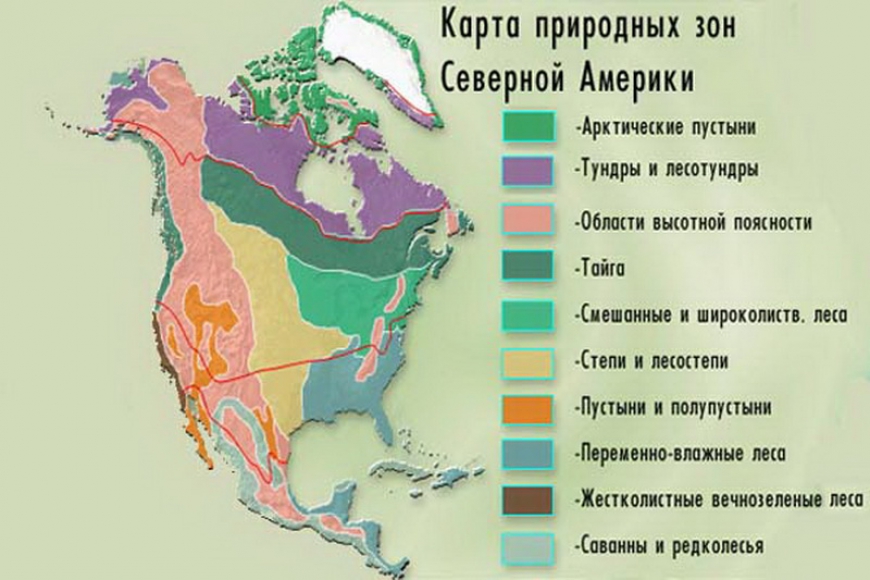 Природные зоны. Особенности простирания природных зон с запада на восток