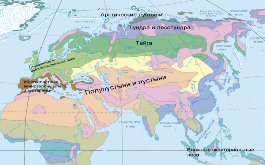 Природные зоны Евразии. Зоны арктического, субарктического, умеренного, субтропического климатических поясов