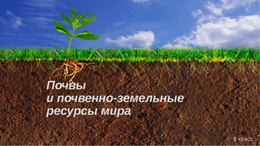 Почвы и почвенно-земельные ресурсы Земли