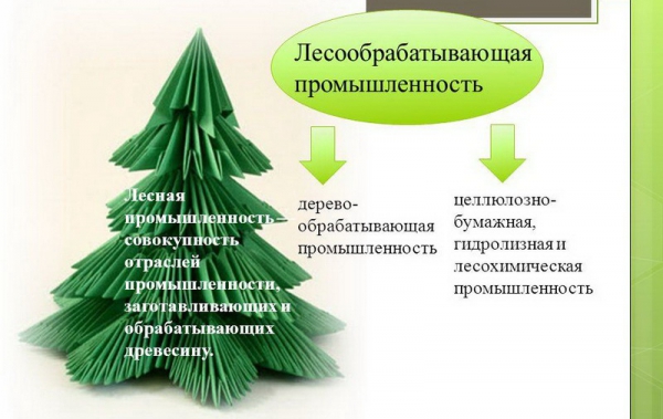 Реферат: Лесная промышленнность